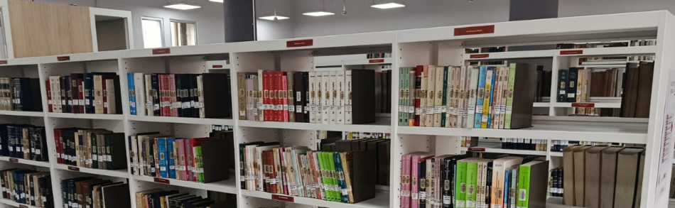 Biblioteca moderna estilo asiático con diseños futuristas y tecnología avanzada